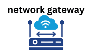 Network gateway 